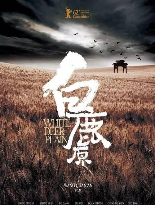 在哪里可以查到个人学历证书呢